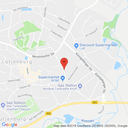 Standort der Tankstelle: team Tankstelle in 24321, Lütjenburg