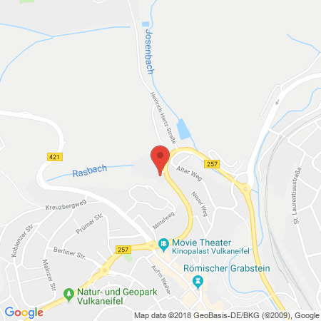 Position der Autogas-Tankstelle: Aral Tankstelle in 54550, Daun