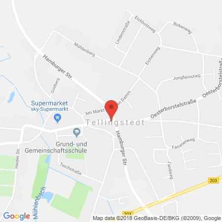 Position der Autogas-Tankstelle: Bft-willer Station 159 in 25782, Tellingstedt