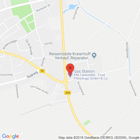 Position der Autogas-Tankstelle: Pm in 46348, Raesfeld