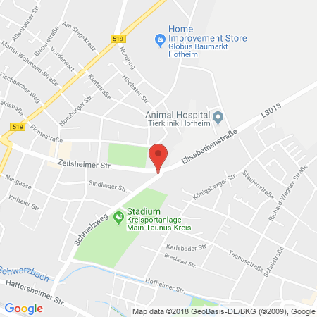Position der Autogas-Tankstelle: Aral Tankstelle in 65719, Hofheim