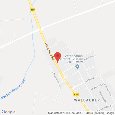 Standort der Tankstelle: OMV Tankstelle in 63322, Rödermark