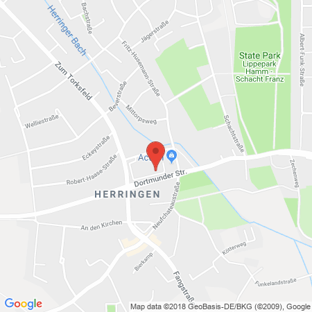 Standort der Tankstelle: Freie Tankstelle in 59077, Hamm