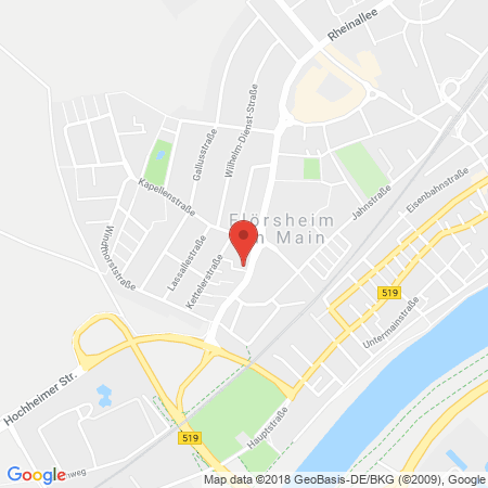 Standort der Tankstelle: Shell Tankstelle in 65439, Floersheim