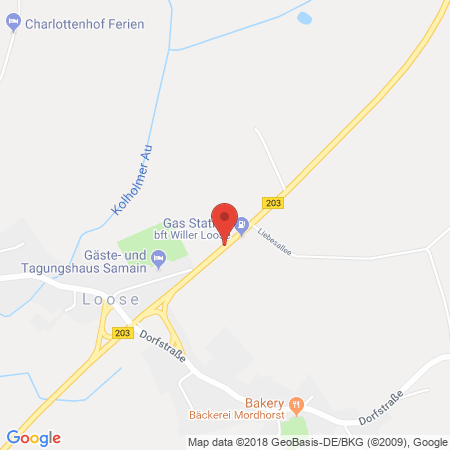 Position der Autogas-Tankstelle: BFT-Tankstelle in 24366, Loose