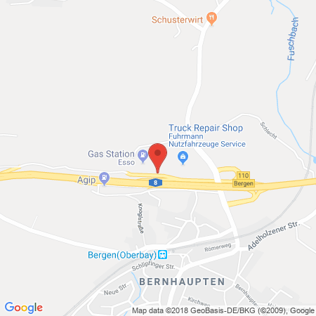 Standort der Autogas Tankstelle: BAB-Tankstelle Hochfelln Nord (Esso) in 83346, Bergen
