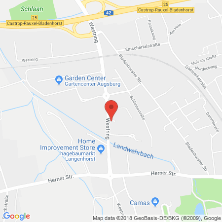 Position der Autogas-Tankstelle: Reifen Drive In GmbH (Tankautomat) in 44579, Castrop-Rauxel
