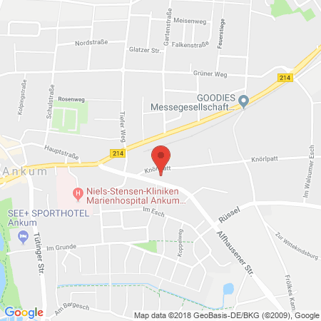 Position der Autogas-Tankstelle: BFT Tankstelle in 49577, Ankum