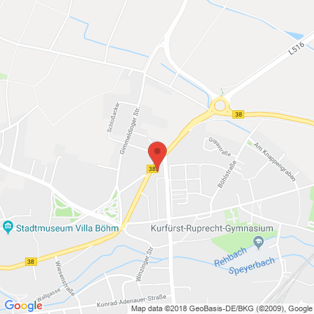 Standort der Autogas Tankstelle: Shell Tankstelle in 67433, Neustadt