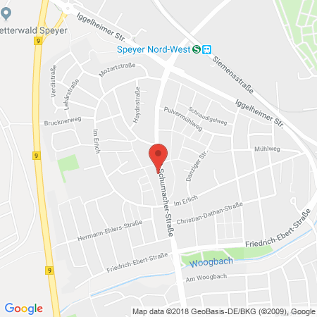 Position der Autogas-Tankstelle: Shell Tankstelle in 67346, Speyer