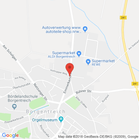 Position der Autogas-Tankstelle: Esso Tankstelle in 34434, Borgentreich