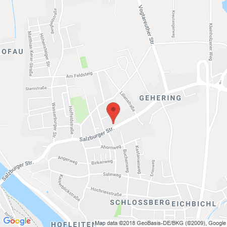 Position der Autogas-Tankstelle: Esso Tankstelle in 83071, Stephanskirchen