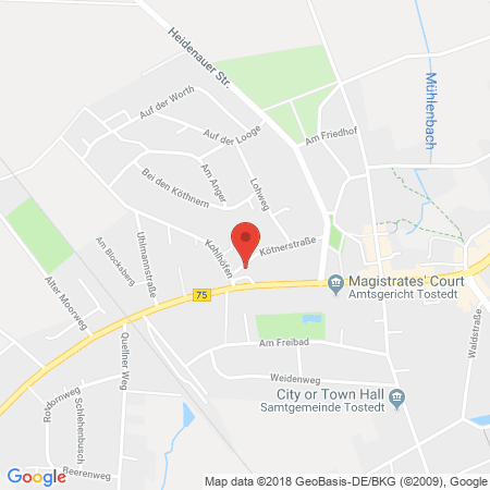 Position der Autogas-Tankstelle: Esso Tankstelle in 21255, Tostedt