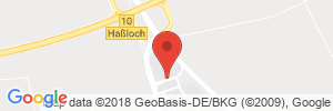 Benzinpreis Tankstelle Shell Hassloch Richard-Sang-Str. 1
