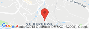 Benzinpreis Tankstelle Shell Bodenmais Regener Str. 10a