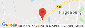 Benzinpreis Tankstelle Hagenburg