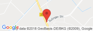 Benzinpreis Tankstelle Wagenfeld