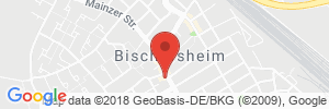 Benzinpreis Tankstelle Shell Bischofsheim Darmstaedter Str. 17