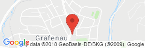 Benzinpreis Tankstelle GRAFENAU - ROSENAUER STRASSE 6