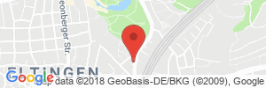 Benzinpreis Tankstelle ENI