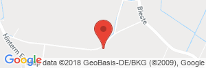 Benzinpreis Tankstelle Schönhöft GmbH