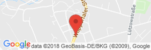 Benzinpreis Tankstelle bft-Station Molkentin