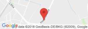 Benzinpreis Tankstelle Aral Tankstelle
