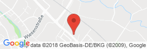 Benzinpreis Tankstelle TANKHOF GRÜN - Hauptstrasse