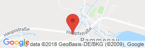 Benzinpreis Tankstelle Elf Rammenau
