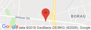 Benzinpreis Tankstelle Shell Weissenfels Selauer Straße 91