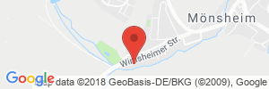 Benzinpreis Tankstelle Autohaus Richt Ohg