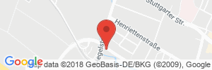 Benzinpreis Tankstelle RAN Station