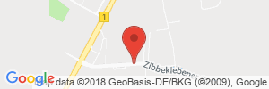 Benzinpreis Tankstelle BURG, ZIBBEKLEBENER STR.