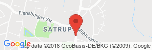 Autogas Tankstellen Details Team Autohof Satrup ansehen