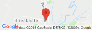 Benzinpreis Tankstelle Tankstelle Blieskastel UG (haftungsbeschränkt)