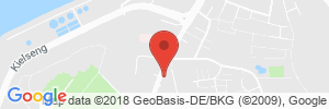 Benzinpreis Tankstelle Shell Flensburg Muerwiker Str. 120