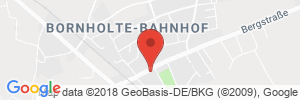 Tankstelle Bornholte