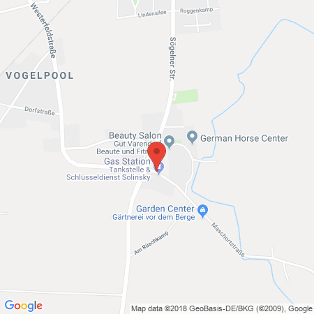 Kartenansicht Tankstelle Solinsky
