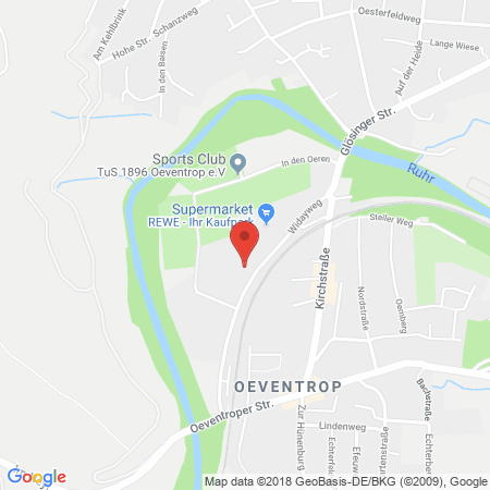 Kartenansicht Tankstelle Grüne