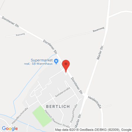 Kartenansicht Supermarkt-Tankstelle am real,- Markt