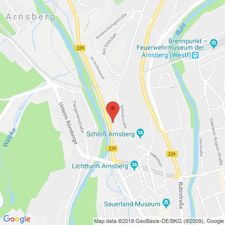 Kartenansicht Tankstelle Grüne