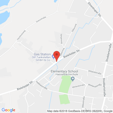 Kartenansicht Rheingaspartner OIL!