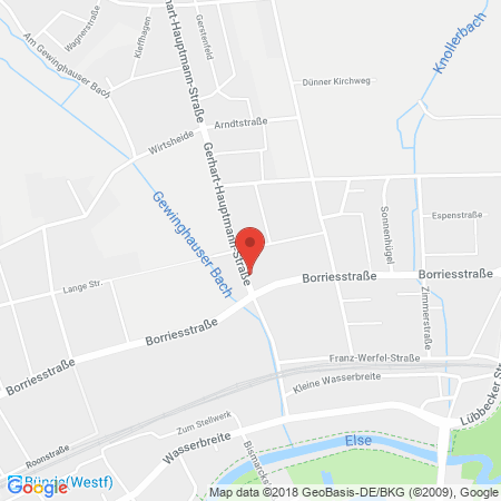 Kartenansicht Tankstelle