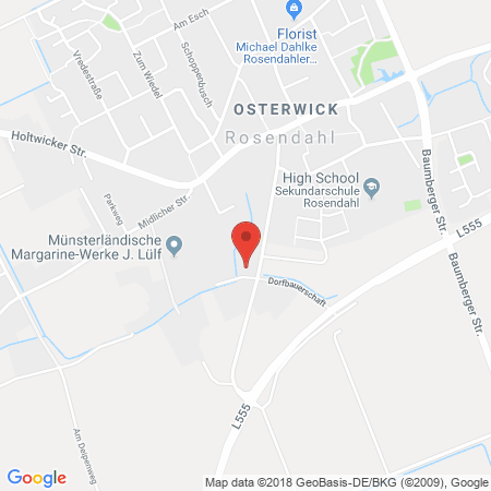 Kartenansicht bft Tankstelle Reinersmann