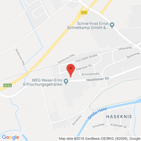 Kartenansicht Reifen Labetzke Tankstelle
