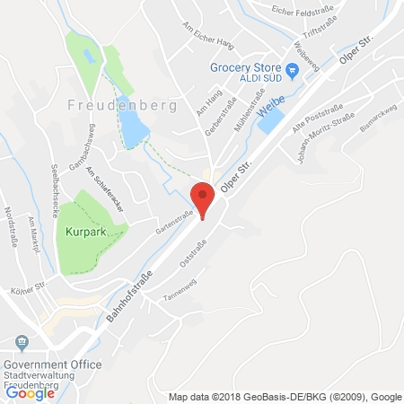 Kartenansicht Esso Station Falk