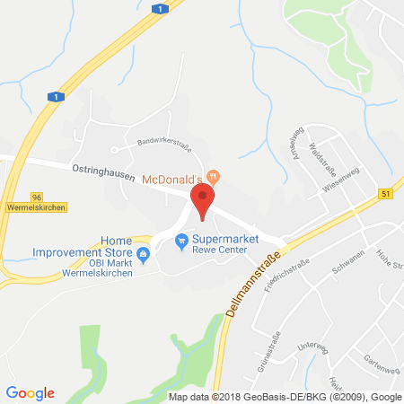 Kartenansicht REWE