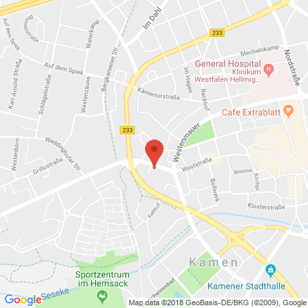 Kartenansicht BfT Tankstelle