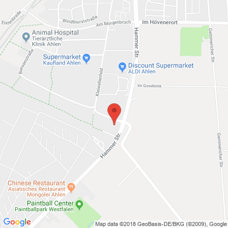 Kartenansicht Raiffeisen Tankstelle