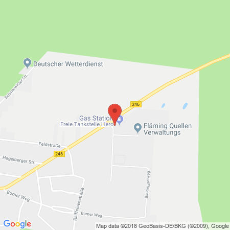 Kartenansicht freie Tankstelle